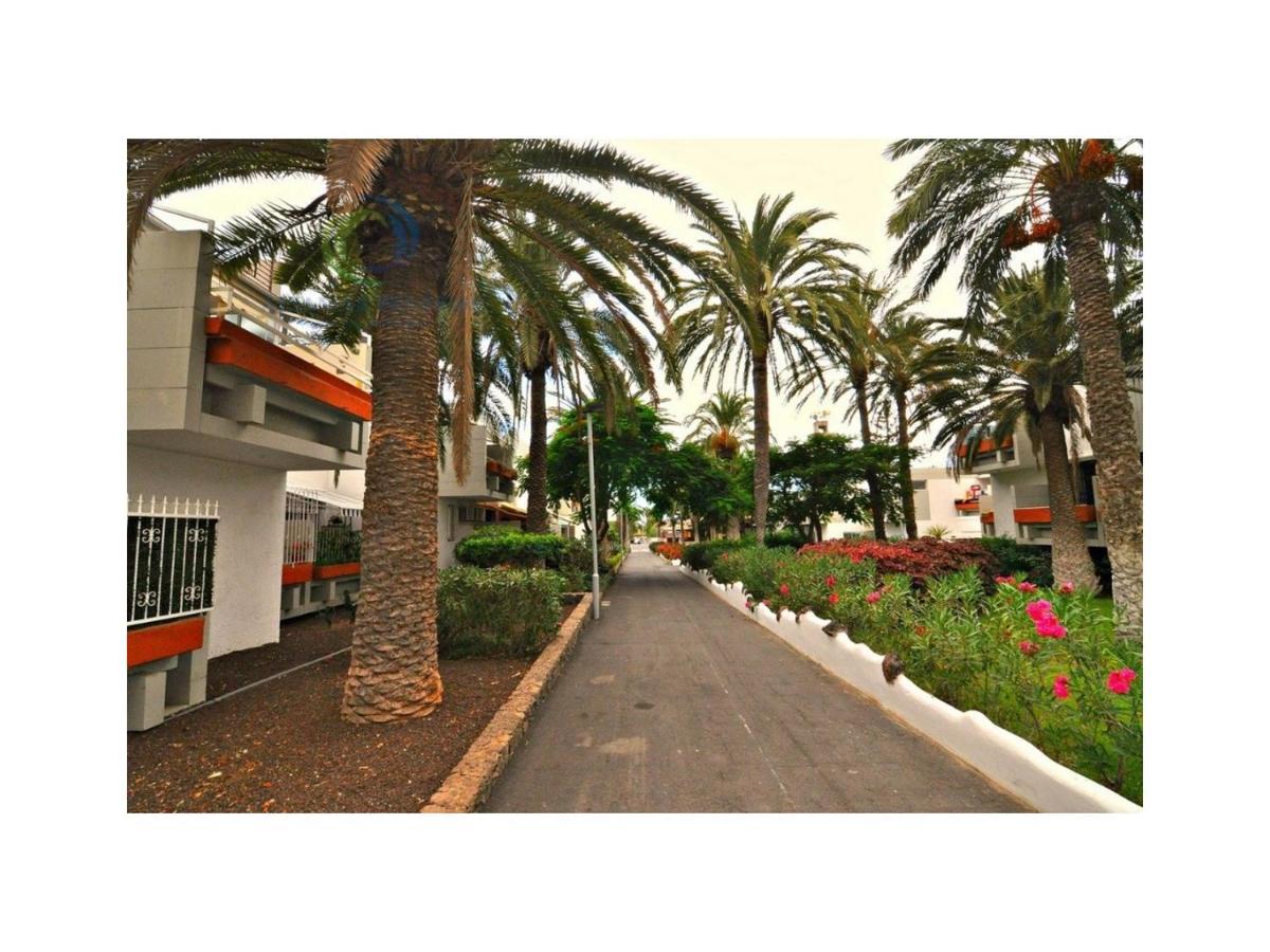 Apartamento Primavera Costa Del Silencio Dış mekan fotoğraf