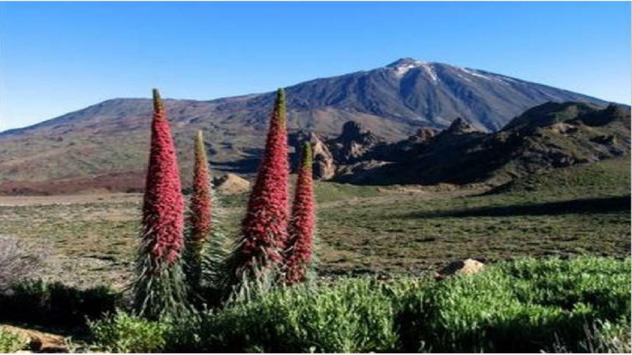 Apartamento Primavera Costa Del Silencio Dış mekan fotoğraf